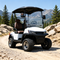 Voiturette de golf électrique fiable de haute qualité, 2 places, compacte, performante, avec batterie, pour les excursions