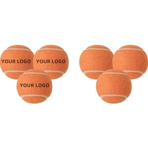 Custom Promotional Rubber Tennis Ball Dog Toy Bite Resistant and Fashion Style for Your Pet with Logo
