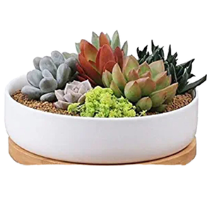 Vente flash : Jardinière géante moderne en céramique blanche émaillée avec soucoupe en <span class=keywords><strong>bambou</strong></span>, écologique, durable, rectangulaire, pour plantes succulentes, au sol - Product Image 1