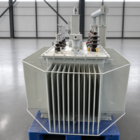 Transformateur de puissance industriel immergé dans l'huile triphasé PENGTAI 220V 100V 21V 2500kVA 800kVA S11-M 480V 50/60Hz IEC60076