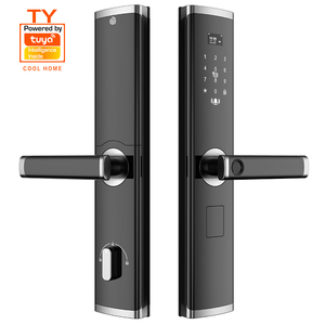 2025 double face intelligente à distance Tuya Wifi <span class=keywords><strong>serrure</strong></span> intelligente porte empreinte digitale mot de passe <span class=keywords><strong>serrure</strong></span> de porte intelligente serrures intelligentes pour porte d'entrée - Product Image 1