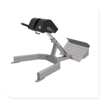 Équipement de fitness commercial, banc d'extension du dos, machine d'extension du dos pour le sport