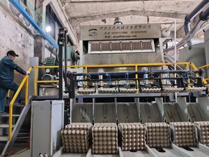 Máquina <span class=keywords><strong>de</strong></span> cartón <span class=keywords><strong>de</strong></span> <span class=keywords><strong>huevos</strong></span>, - Product Image 3