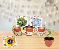 Mini pots de culture en terre cuite pour graines, collection Daydream, sans OGM, design rustique, kit de démarrage pour graines de fleurs et de plantes
