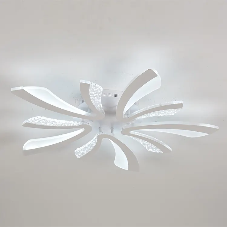 China Cheap Exquisite Design Fashionable Lamp LED Ceiling Light