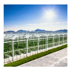 SINO AGRI 1000 M2 in Cina Tunnel serra compro Serre-Agricole-Prix tipi Serre con rete ombreggiante motori in Algeria - Product Image 1