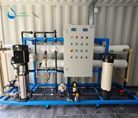 Système de dessalement de traitement de l'eau par osmose inverse conteneurisé Machine de purification d'épurateur d'eau RO