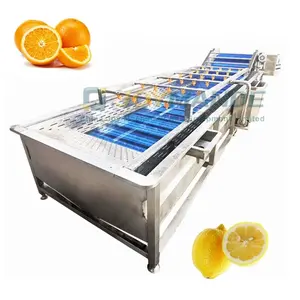 Industrial Kiwi Lemon Peach Apricot Melon Pineapple Tangerine Fruit Washing Washer Cleaning Processing Machine