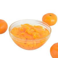 Jeruk Mandarin Kaleng Baru, Promo Spesial, dalam Sirup Kental, Kemasan Kaleng, Buah Manis, Jeruk Mandarin Cina