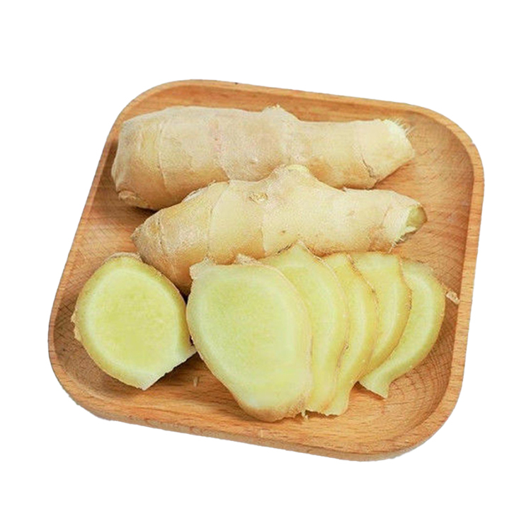 Manufacturer Supply Organic Fresh Ginger Selling