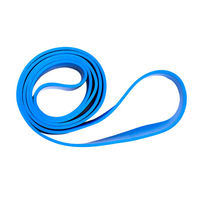 Bandas de Resistencia YX de Alta Calidad para Gimnasio y Fitness, Bandas Elásticas de Yoga Personalizadas de TPE, Cinturón de Resistencia con Bucle para Ejercicios