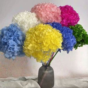 Ortensia a Foglia Singola Grande, la Più Venduta, per Decorazioni Nuziali, Stabilizzata per Sempre, Realistica, Ricamata, a Sfera, Hortensia Eterna - Product Image 3