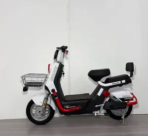 2024 500W 800W 2 Seater Electric Bike Ebike Scooter Electric Motorcycle Selling Bike Used Electric Bicycles For Adults