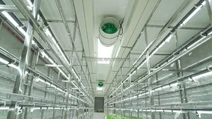 Conteneur de système de fourrage hydroponique de Lyine pour le fourrage de systèmes de culture hydroponiques de ferme