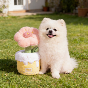 Juguete Masticable para Mascotas <span class=keywords><strong>con</strong></span> Forma <span class=keywords><strong>de</strong></span> Flor Multicolor, Juguete Interactivo <span class=keywords><strong>de</strong></span> Felpa <span class=keywords><strong>con</strong></span> Sonido para Cachorros y Gatitos - Product Image 3