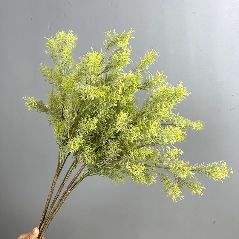 Single branch new water grass light green