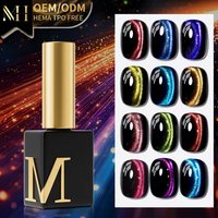 Vernis Gel Magnétique Effet Œil de Chat HEMA TPO TMPTA Free, Couleurs Fantaisie OEM, Non Toxique, Marque Privée, 15ml