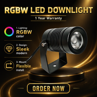 Projecteur mural LED ambiant étanche en aluminium DMX512 RGBW RGBCW 24V 8W 12W 20W IP65 avec gradation PWM