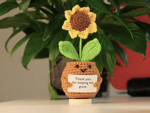 Muñeco de girasol positivo Crochet con tarjeta Gracias por ayudarme a crecer Regalo de agradecimiento al Maestro de la planta de ganchillo del estudiante - Product Image 6