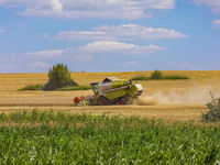Moissonneuse-batteuse GN60 fiable à grande capacité et à économie d'énergie, à transmission par engrenages, pour la récolte du manioc et de l'ail, haute productivité