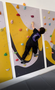 Muro de Escalada Interior de Madera Contrachapada PhysiMax para Niños con Escalera y Anillas para Niños Pequeños, Sala de Juegos en Casa, Juego Activo Seguro para 5-10 Usuarios - Product Image 2