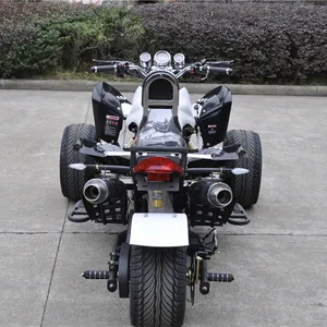 Three Wheels Trike 250cc ATV with CE