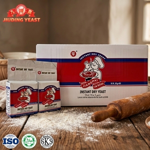 <span class=keywords><strong>Levadura</strong></span> en Polvo 60g, Sellado al Vacío, Estándar de Exportación para Panadería en Argelia, Fabricante Profesional, <span class=keywords><strong>Levadura</strong></span> para Panadería Baja en Azúcar - Product Image 1