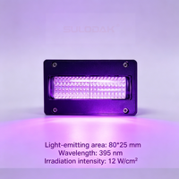 LED UV Ink Curing Lamp for UV Printing and Digital Printer Machines 395NM Ultraviolet Lamp Curing 80*25 MM Lamp Uv UV Lamp