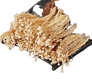 Hongo <span class=keywords><strong>Enoki</strong></span> de Tallo de Terciopelo, Flammulina Velutipes, Hongo de Invierno - Product Image 5