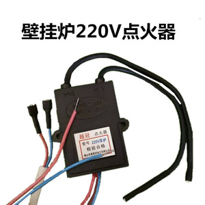 Allumeur mural pour chaudière 220V, système d'allumage à impulsions à double brûleur pour chauffe-eau et pièces de chaudière - Product Image 3