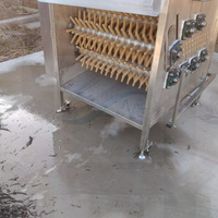 Équipement de nettoyage pour plumeuse à poulet, machine à épiler commerciale automatique en acier pour poulets et canards