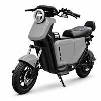 Sepeda Motor Listrik Brushless Grosir 1200W Motor Roda 14 Inci Kecepatan Tertinggi 55Km/jam Jarak Tempuh hingga 140Km untuk Pengendara Dewasa
