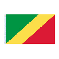 Drapeau National Personnalisé du Congo Démocratique Toutes Tailles 3*5FT en Polyester à Suspendre, Vente en Gros