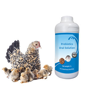 Vitboo Nieuwe Probiotica Orale Vloeistof Voor Kip Pluimvee Orale Oplossing Voor Vleeskuikenlaag Eendengans En Kwartel Kip Vitaminen Oraal - Product Image 4