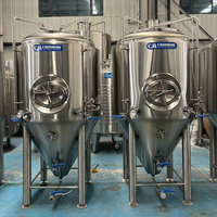 Cuves de Fermentation de Bière Artisanale 1000L, Unitanks 10BBL, Fermenteurs 10HL