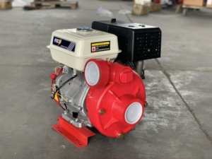 Bomba <span class=keywords><strong>de</strong></span> <span class=keywords><strong>Agua</strong></span> Portátil <span class=keywords><strong>de</strong></span> Gasolina <span class=keywords><strong>de</strong></span> 3 Pulgadas <span class=keywords><strong>de</strong></span> Hierro <span class=keywords><strong>de</strong></span> Alta Presión para Uso Agrícola, Precio Económico y Buena Calidad - Product Image 2