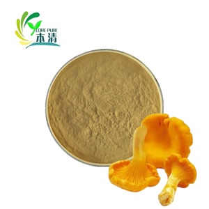 Extracto de Hongo Chanterelle (Cantarellus <span class=keywords><strong>Cibarius</strong></span>) en Polvo, 30% Polisacáridos, Grado Alimenticio, Extraído con Solvente, Empaquetado en Tambor, Alta Calidad - Product Image 1
