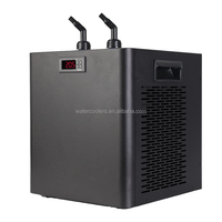 Refroidisseur d'eau de chauffage à double filtre Compresseur de désinfection à l'ozone Refroidisseur d'eau plongeant dans la glace Aquarium Fish Tank