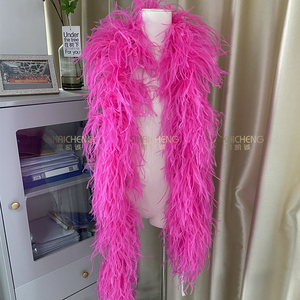 ขนนกกระจอกเทศ1-30ply ตัดขอบบนสายสีรุ้งขนนกงูเหลือม - Product Image 1