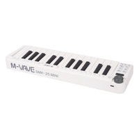 Midi Keyboard Controller 25 Key Portable Intelligent Keyboard Instrument Wireless Mini Midi Keyboard
