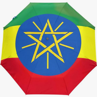 Parapluie pliant entièrement automatique résistant à la pression, motif drapeau culturel du Ghana, style thématique national