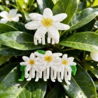 Pince à cheveux Hawaïenne Wow Sheila Novelty Island avec plaque d'immatriculation, fleurs et coquillages locaux, pince à griffes personnalisée pour le quotidien