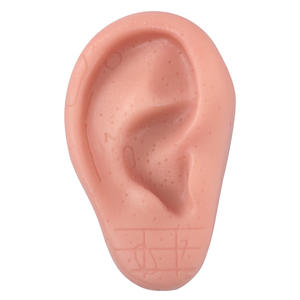 Offre Spéciale Silicone <span class=keywords><strong>Oreille</strong></span> Acupuncture Modèle Réflexologie Professionnelle Acupoint Apprentissage Massage <span class=keywords><strong>Oreille</strong></span> Modèle 8cm - Product Image 5