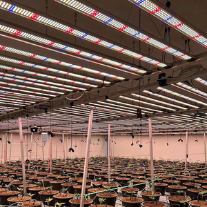 LEDILAND 2024 Best <span class=keywords><strong>3</strong></span> Dimmable Spectrum <span class=keywords><strong>Samsung</strong></span> Lm301h Evo PC Grow Smart 800w 900w 1000w Led Grow Light Uv Ir - Product Image 6