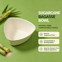 Bol triangulaire jetable en bagasse de canne à sucre, compostable, biodégradable, de qualité alimentaire, pour crème glacée, salade, apéritif