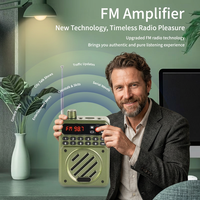 Amplificateur vocal portable Y819 avec écran numérique LED, radio FM, lecteur MP3, USB, TF, AUX pour l'enseignement et les guides touristiques