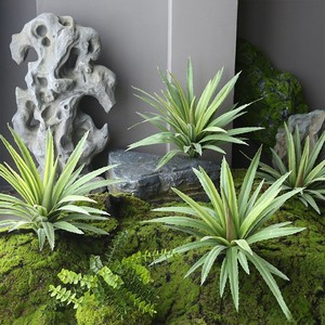 Hojas Verdes Artificiales Ecológicas Personalizadas, Plantas de Aloe <span class=keywords><strong>Vera</strong></span> y Dracaena para Decoración del Hogar, Bodas, Navidad, Escaparates de Centros Comerciales - Product Image 2