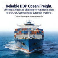 Transport maritime mondial rentable, expédition maritime DDP fiable pour la gestion de la chaîne d'approvisionnement transfrontalière d'Amazon