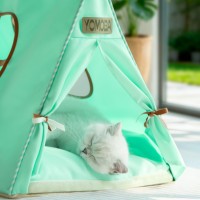 YOMOBA Tente pour animaux de compagnie de luxe moderne couleur macaron, abri d'été triangulaire pour chat et chien, entièrement démontable, coussin indépendant, rangement facile, super pratique