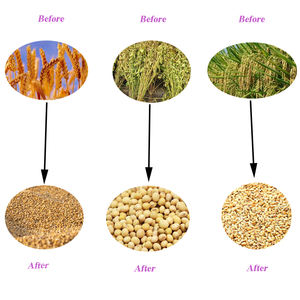 Machine à battre agricole commerciale multi-cultures pour arachides, céréales, maïs, blé et riz, à vendre - Product Image 3